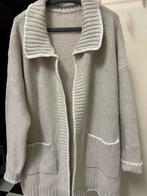 Beige gebreid vest met zakken - Maat K/XL nieuw, Ophalen of Verzenden, Nieuw, Maat 42/44 (L), Beige
