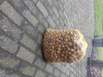 WALNOTEN te koop, Diversen, Ophalen
