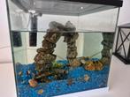 Aquarium met toebehoren. H=30cm B=30cm D=30cm, Dieren en Toebehoren, Vissen | Aquaria en Toebehoren, Ophalen, Gebruikt, Leeg aquarium