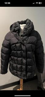 Poivre blanc winterjas zwart XL, Zwart, Maat 46/48 (XL) of groter, Poivre blanc, Ophalen of Verzenden