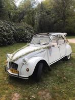 trouwauto groningen e.o., Met chauffeur, Trouwauto