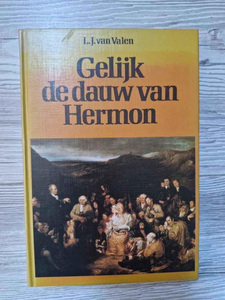 Gelijk de dauw van Hermon L.J. van Valen, Boeken, Godsdienst en Theologie, Zo goed als nieuw, Ophalen of Verzenden