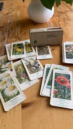 Verkade kwartetspel, Ophalen of Verzenden, Zo goed als nieuw