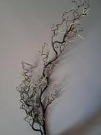 Kronkel hazelaar takken kunst  70cm €5,99 120cm €11,99 (uitv, Ophalen of Verzenden, Nieuw