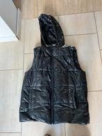 Bodywarmer mast 42, Ophalen of Verzenden, Zo goed als nieuw, Maat 42/44 (L)