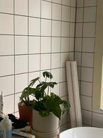 Mosa Bright White 15x15 Wandtegels mat, Ophalen, Nieuw, Minder dan 20 cm, Minder dan 5 m²