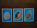 Dier Zeeslakken Fr. Polynesië 1978, mi. 250-52 postfris, Ophalen of Verzenden, Postfris, Dier of Natuur