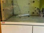 Te koop EHEIM aquarium, Dieren en Toebehoren, Vissen | Aquaria en Toebehoren, Ophalen, Zo goed als nieuw, Leeg aquarium