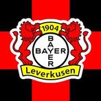 Bayer leverkusen wedstrijd voetbal tickets, Tickets en Kaartjes, Eén persoon