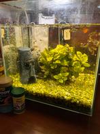 Aquarium met heel veel vis!, Dieren en Toebehoren, Ophalen, Zo goed als nieuw, Gevuld zoetwateraquarium