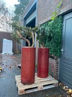 Ronde en vierkante stenen bakken, Tuin en Terras, Bloembakken en Plantenbakken, Steen, Minder dan 30 cm, Rond, Ophalen of Verzenden