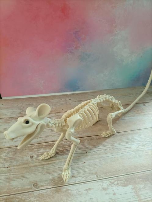 Halloween Rat Skelet - Decoratie, Hobby en Vrije tijd, Feestartikelen, Nieuw, Fopartikel, Halloween of Griezel, Ophalen of Verzenden