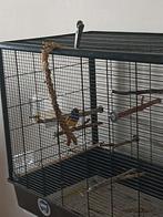 grote vogelkooi, Dieren en Toebehoren, Ophalen, Zo goed als nieuw, Overige materialen, Vogelkooi