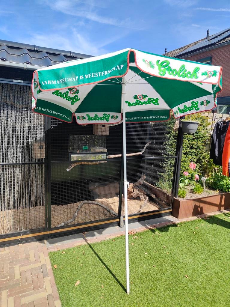 Grolsch Parasol - Groen/Wit (Gebruikt), Verzamelen, Biermerken, Ophalen of Verzenden, Gebruikt