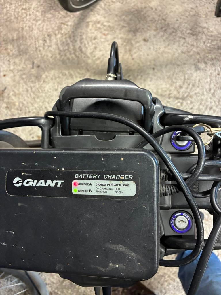 Dubbele oplader giant + 2 x accu, Fietsen en Brommers, Ophalen, Gebruikt