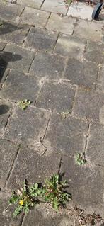 30x30 tegels, Ophalen