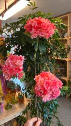 Kunst bloesem, Ophalen of Verzenden, Nieuw