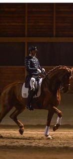 Gezocht bijrijder, Ophalen of Verzenden, Nieuw