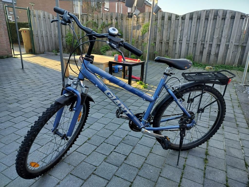 fiets, Ophalen, Gebruikt, Giant, Versnellingen
