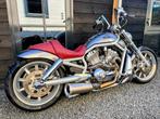 Harley-Davidson VRSCA V-rod inruil motorscooter, Motoren, Motoren | Harley-Davidson, 2 cilinders, Occasion, Chopper, Particulier