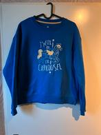 Disney attractie trui draaimolen, Kleding | Heren, Verzenden, Zo goed als nieuw