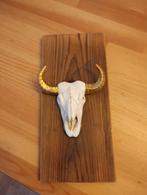 Hangedecoratie - Dieren schedel - Nieuw in doos, Ophalen of Verzenden, Nieuw
