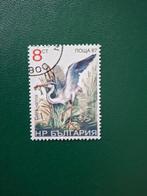 Blauwe Reiger. Vogel. Bulgarije, Ophalen of Verzenden, Dier of Natuur