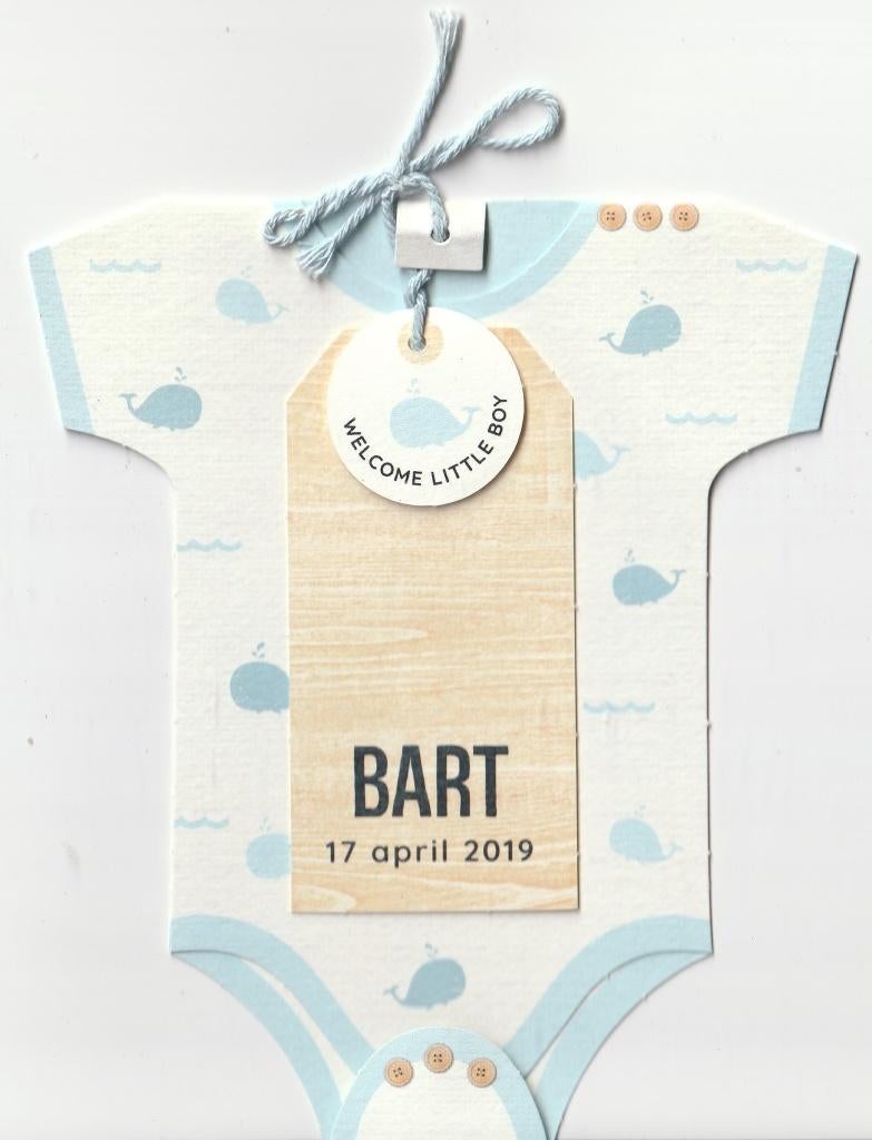 Bart, Ophalen of Verzenden, 2000 tot heden, Geboortekaartje