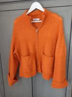 MSCH Copenhagen vest M / L, Msch Copenhagen, Ophalen of Verzenden, Gedragen