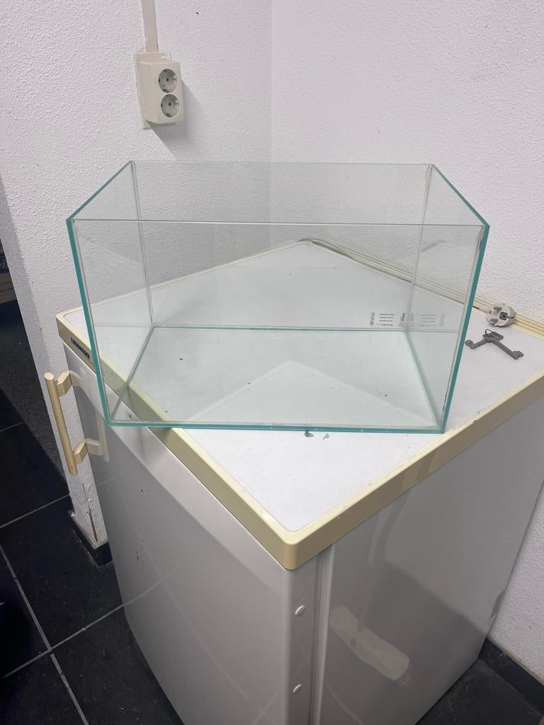Aquariumbak / vissenverblijf, Dieren en Toebehoren, Vissen | Aquaria en Toebehoren, Ophalen, Zo goed als nieuw