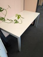 4 x Witte, verstelbare bureau tafel 80x160, Huis en Inrichting, Bureaus, Ophalen