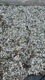 Gratis grind, Ophalen of Verzenden, Zo goed als nieuw