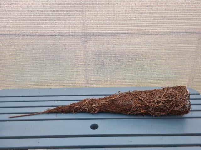 Puntmand riet op pin, Overige materialen, Minder dan 30 cm, Nieuw, Ophalen of Verzenden