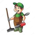 tuinhulp gevraagd, Tuinonderhoud of Snoeiwerk