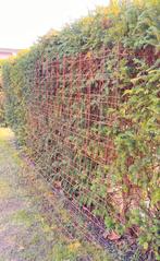 2x Betongaas matten mazen 15x15 cm, Ophalen, Zo goed als nieuw, Minder dan 10 meter