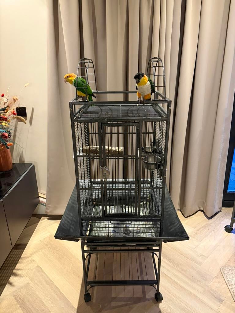 Strong papegaaienkooi Villa Helios, Dieren en Toebehoren, Ophalen, Gebruikt, Overige materialen, Vogelkooi