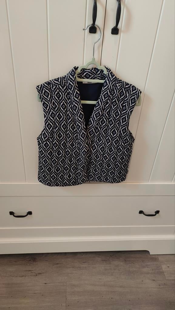 WE gilet meisje maat 116, Ophalen of Verzenden, Zo goed als nieuw, Meisje, Shirt of Longsleeve