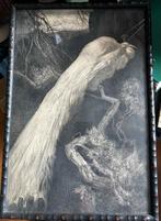 Prachtige Gravure van Pauw door A.J. Van t Hoff, Ophalen of Verzenden, Gravure, 1900 - 1949, Flora en Fauna