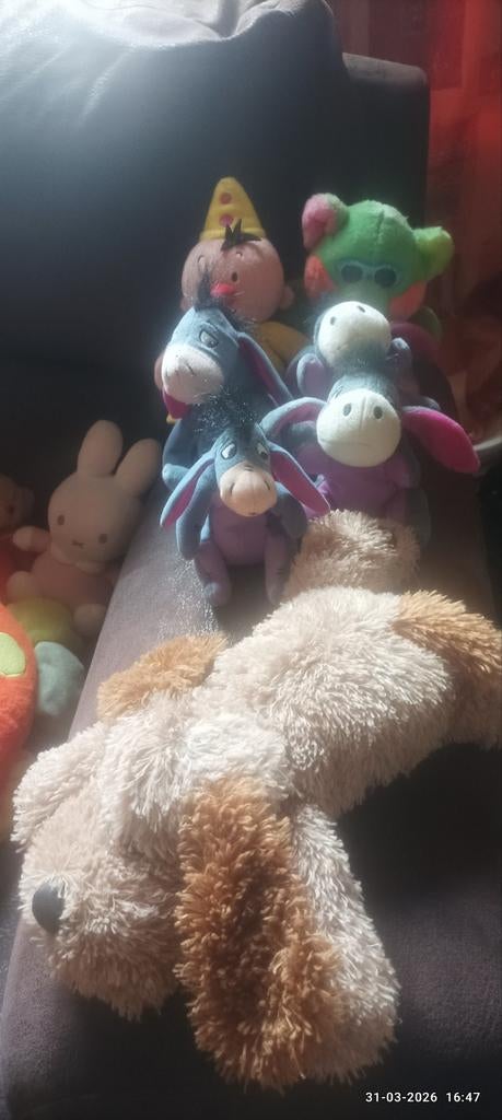 Diverse knuffels, Kinderen en Baby's, Speelgoed | Knuffels en Pluche, Zo goed als nieuw, Konijn, Overige karakters, Middelgroot (20 tot 80 cm)