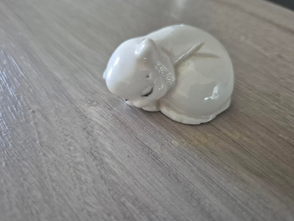 Poesje, Ophalen of Verzenden, Zo goed als nieuw, Dier