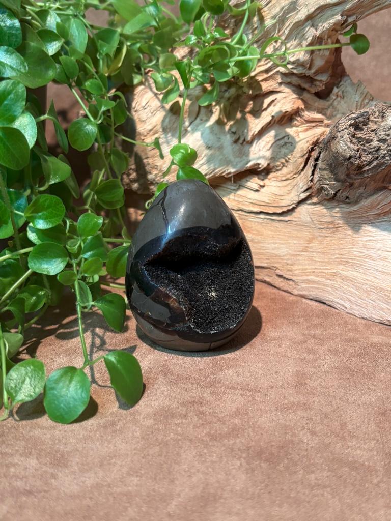 Septarie, draken ei klein, Ophalen of Verzenden, Mineraal