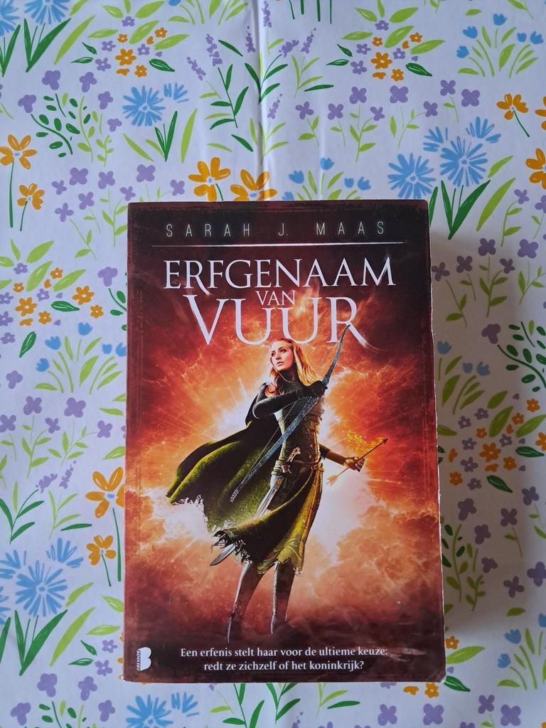 Sarah J. Maas - Erfgenaam van vuur, Boeken, Fantasy, Gelezen, Ophalen of Verzenden