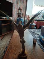 Opgezette vogel valkparkiet, Ophalen, Zo goed als nieuw, Vogel, Opgezet dier