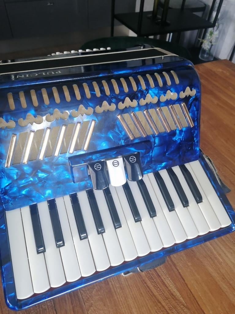Accordeon 48 bas met twee registers, Muziek en Instrumenten, Accordeons, Ophalen, 48-bas, Overige merken