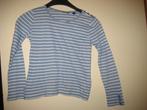 Mexx: blauw shirt met witte strepen, 116, CXC (390), Kinderen en Baby's, Kinderkleding | Maat 116, Ophalen of Verzenden, Zo goed als nieuw