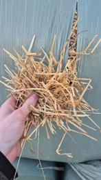 Hooibalen te koop, Zakelijke goederen, Ophalen of Verzenden