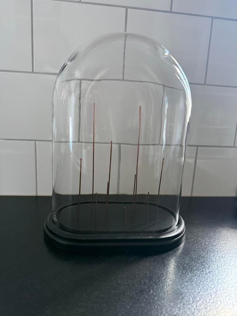 Stolp (insecten/vlinders), Ophalen, Zo goed als nieuw