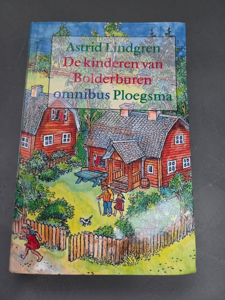 Astrid Lindgren - De kinderen van Bolderburen, Boeken, Fictie algemeen, Astrid Lindgren, Ophalen of Verzenden, Zo goed als nieuw