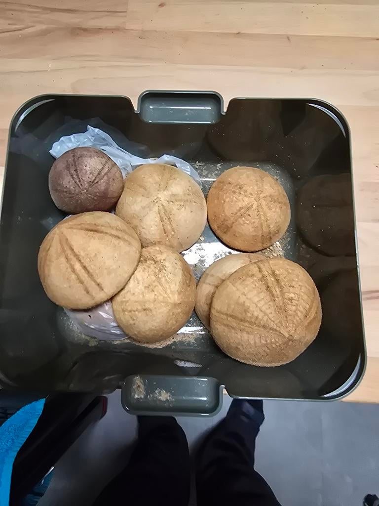 Nog wat mooie bruine zeeegel beetje fluweelachtig, Ophalen of Verzenden