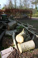 Putte, aangeboden stapel brandhout!, Tuin en Terras, Haardhout, 3 tot 6 m³, Ophalen, Overige houtsoorten, Stammen